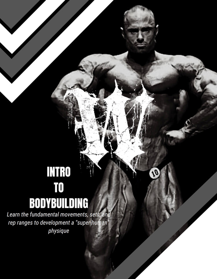 Frank's Intro to Bodybuilding E-Book